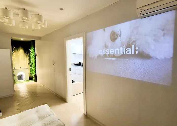 Gangnam 1min-cozy Studio-netflix-dodo With Pets *
